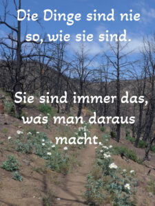 Bild mit Spruch: Die Dinge sind nie so, wie sie sind. Sie sind immer das, was man daraus macht.